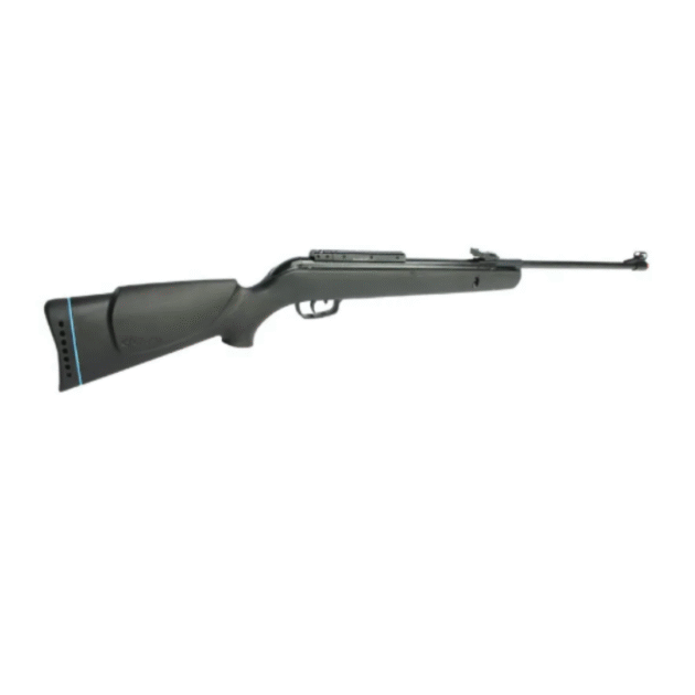 GAMO BIG CAT 1000 IGT 5.5MM