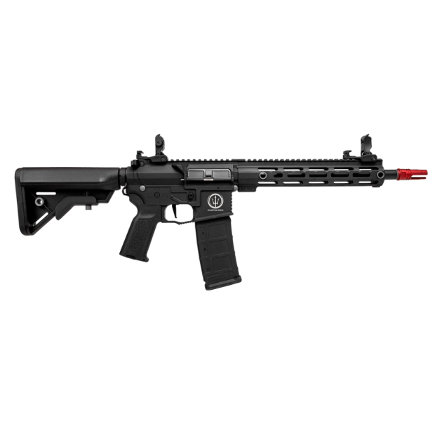 ROSSI NEPTUNE AR15 10'' PLUS ELÉT. 6MM